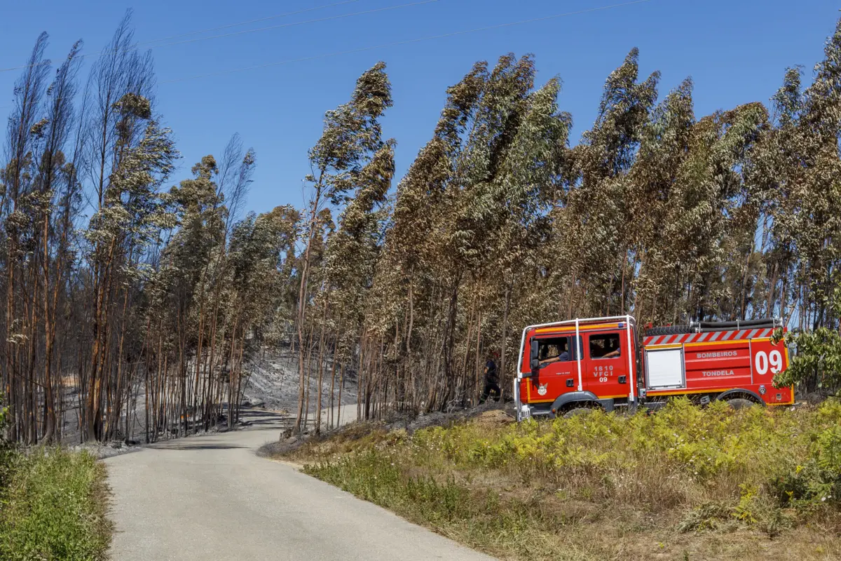 O suspeito, proprietário do terreno, foi constituído arguido e os factos remetidos ao tribunal de Bragança