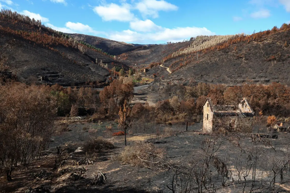 Imagem de contexto do artigo Ano de 2025 é o terceiro pior de sempre em área ardida até 31 de agosto