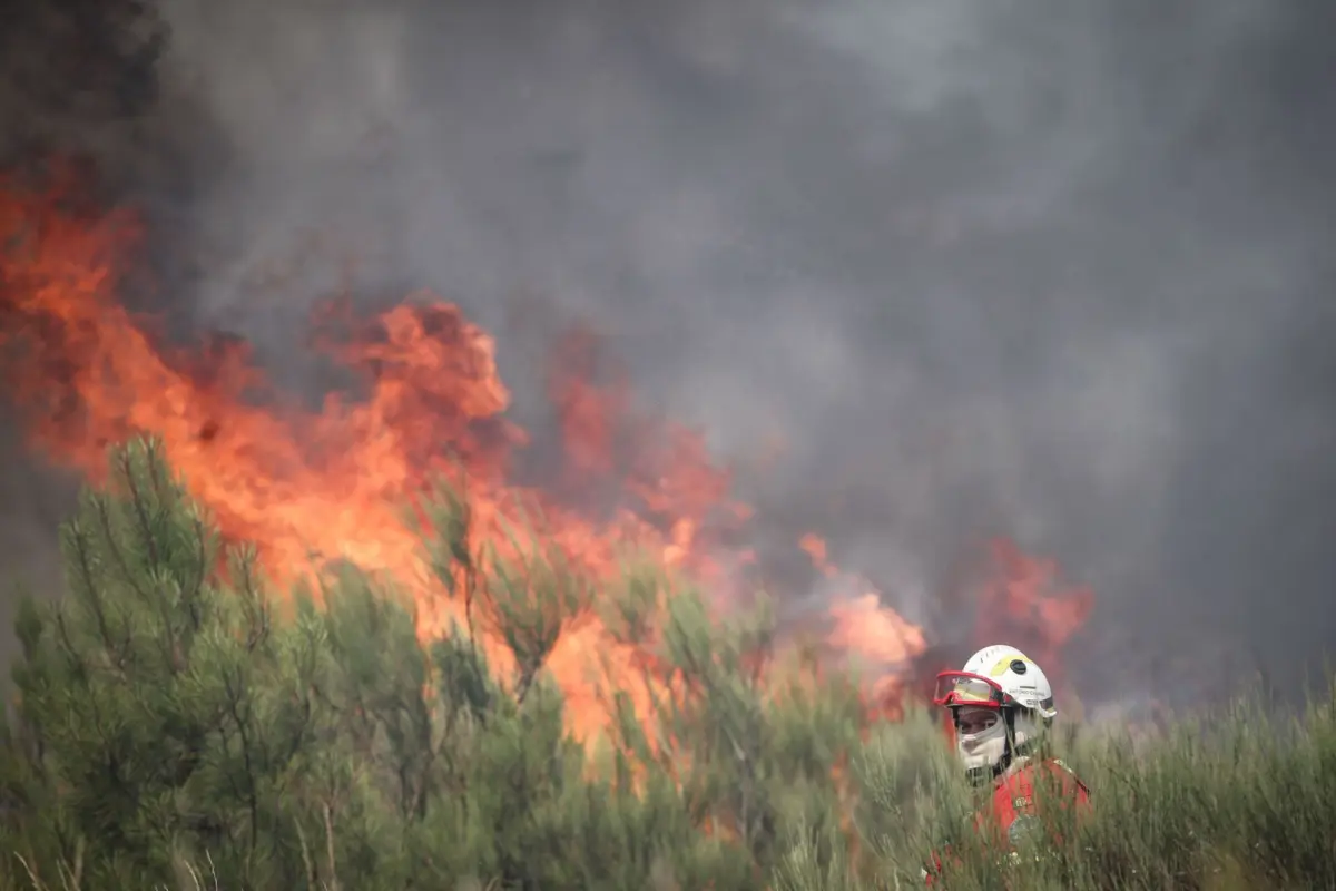 O autarca sublinhou que a dificultar as operações de combate está o fumo que impede, neste momento, a operação dos meios aéreos.