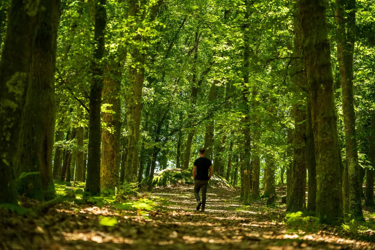 Imagem de contexto do artigo Quatro rotas para descobrir paisagem de Paredes