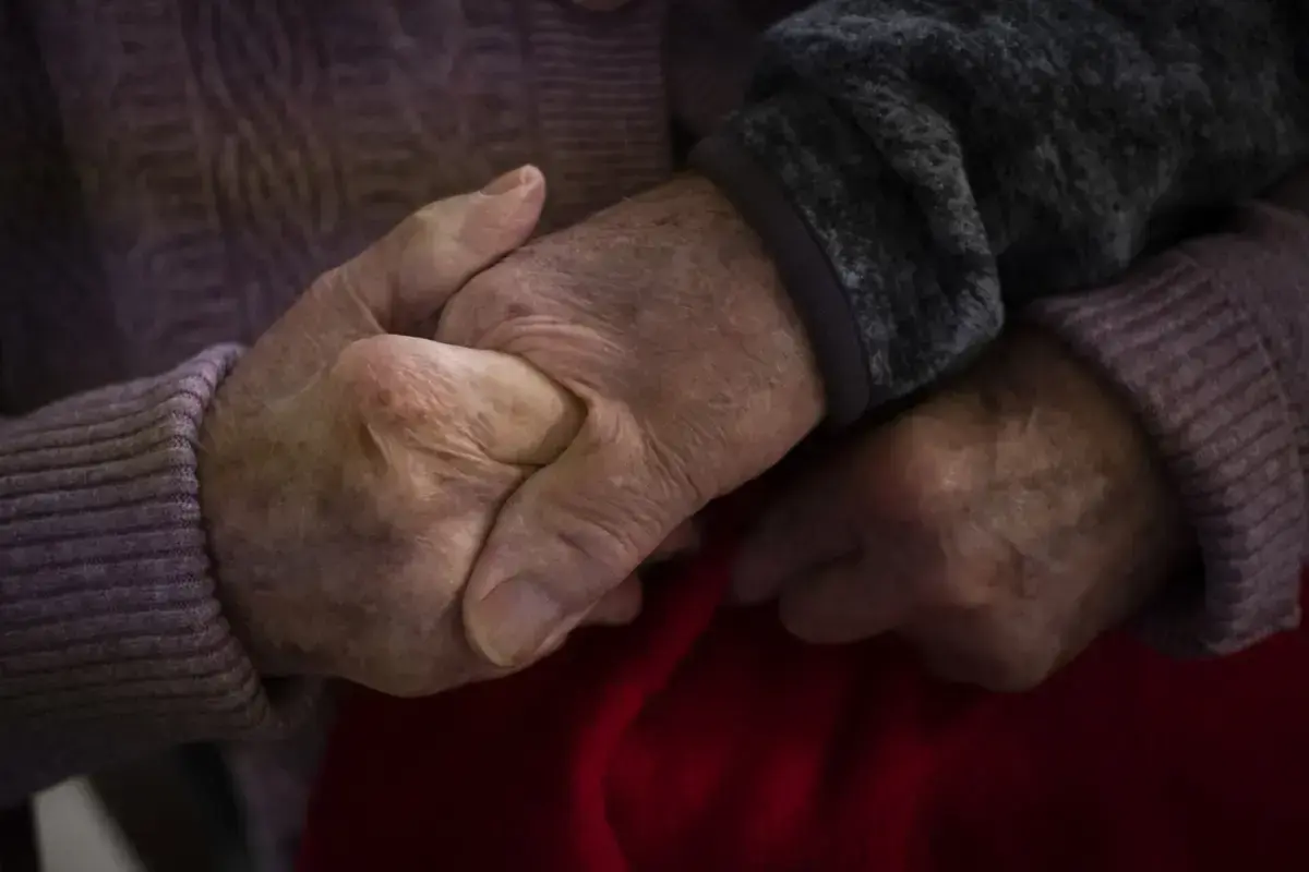 Existem cerca de 700 utentes nos cinco concelhos abrangidos pelo plano