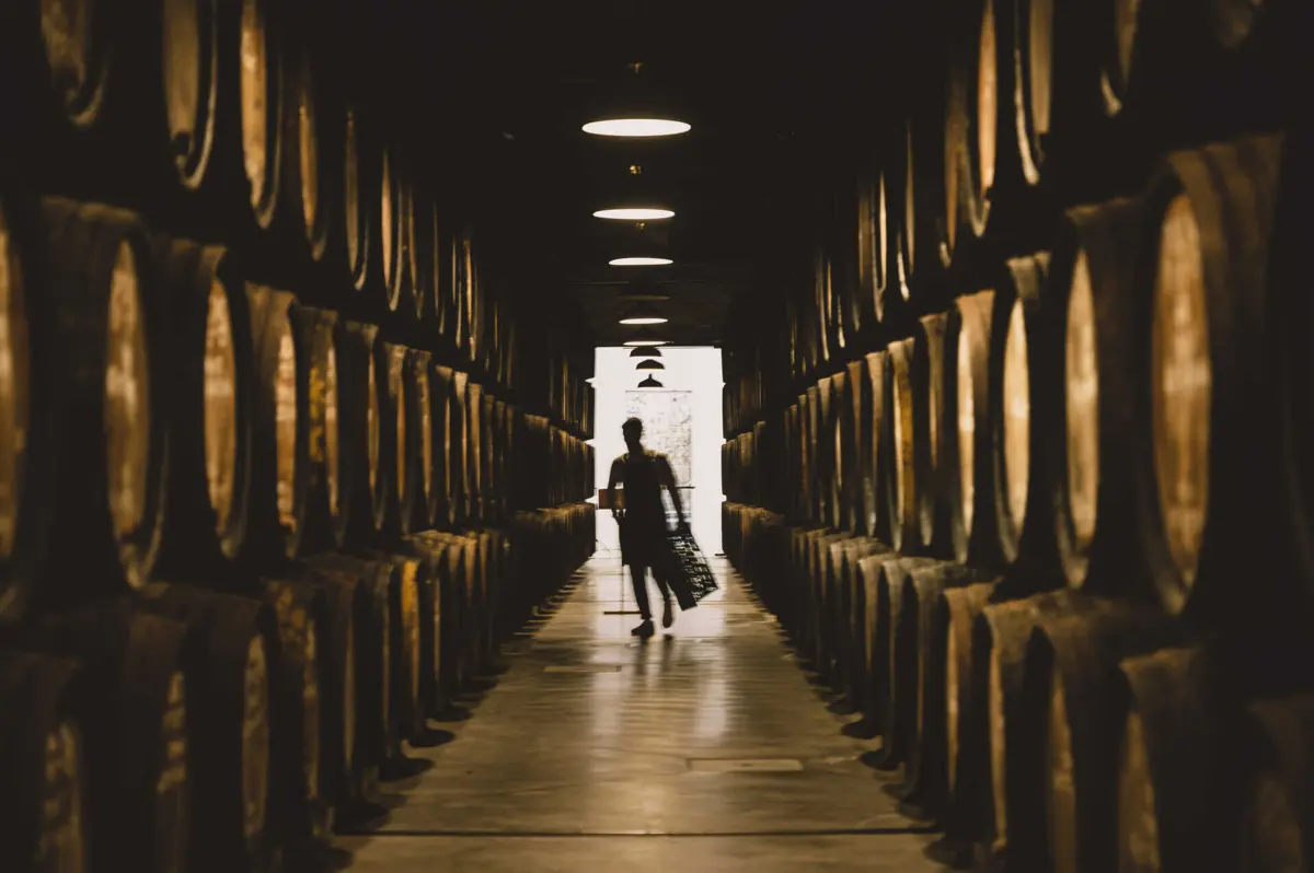 Em Portugal, "existe o álcool bom e álcool mau que é preciso taxar sem limites”