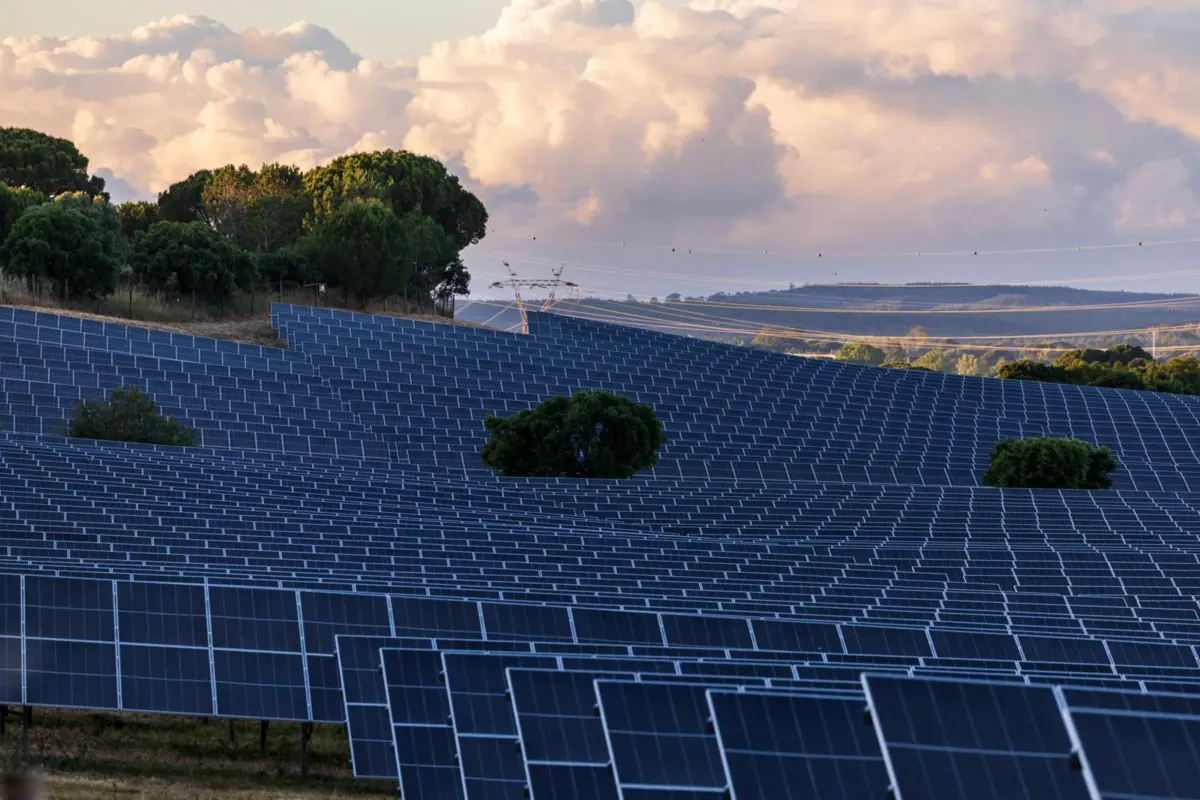 Movimentos estão contra a instalação de painéis solares em zonas de conflito ambiental e humano
