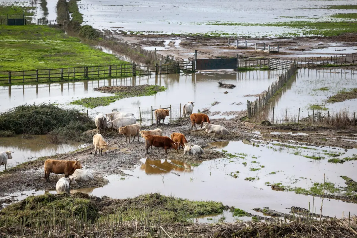 Inundações na região da Azambuja