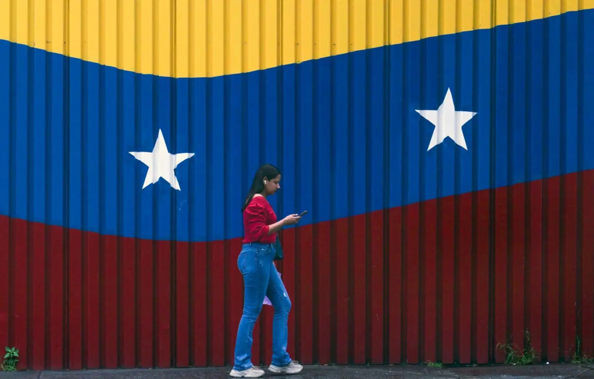 ONG explica que os dados estão atualizados até 10 de novembro de 2025