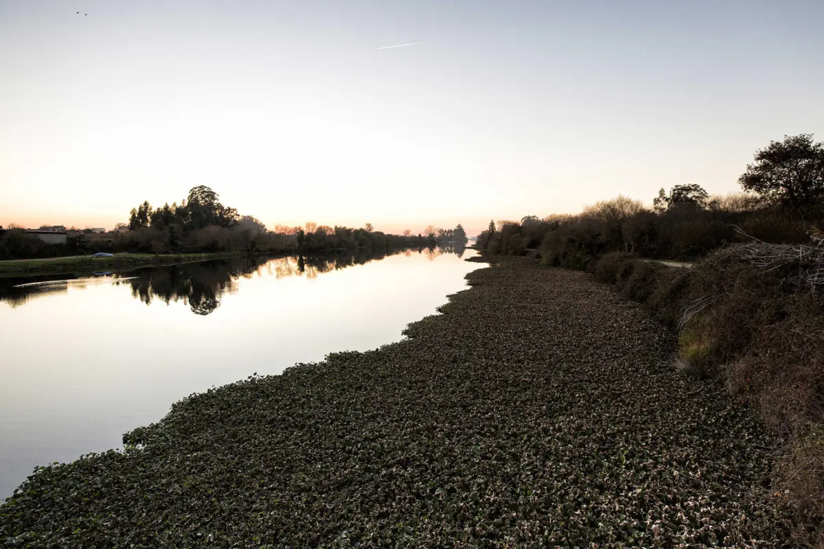 Com a reparação do rombo, será reposta a defesa dos terrenos agrícolas contra as inundações, bem como a capacidade de circulação das máquinas agrícolas, naquela zona naquela zona do Bai