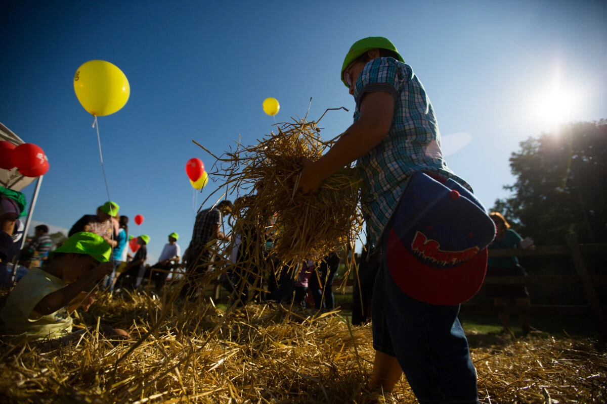 Evento atrai anualmente atraí dezenas de milhares de visitantes ao Parque de Serralves