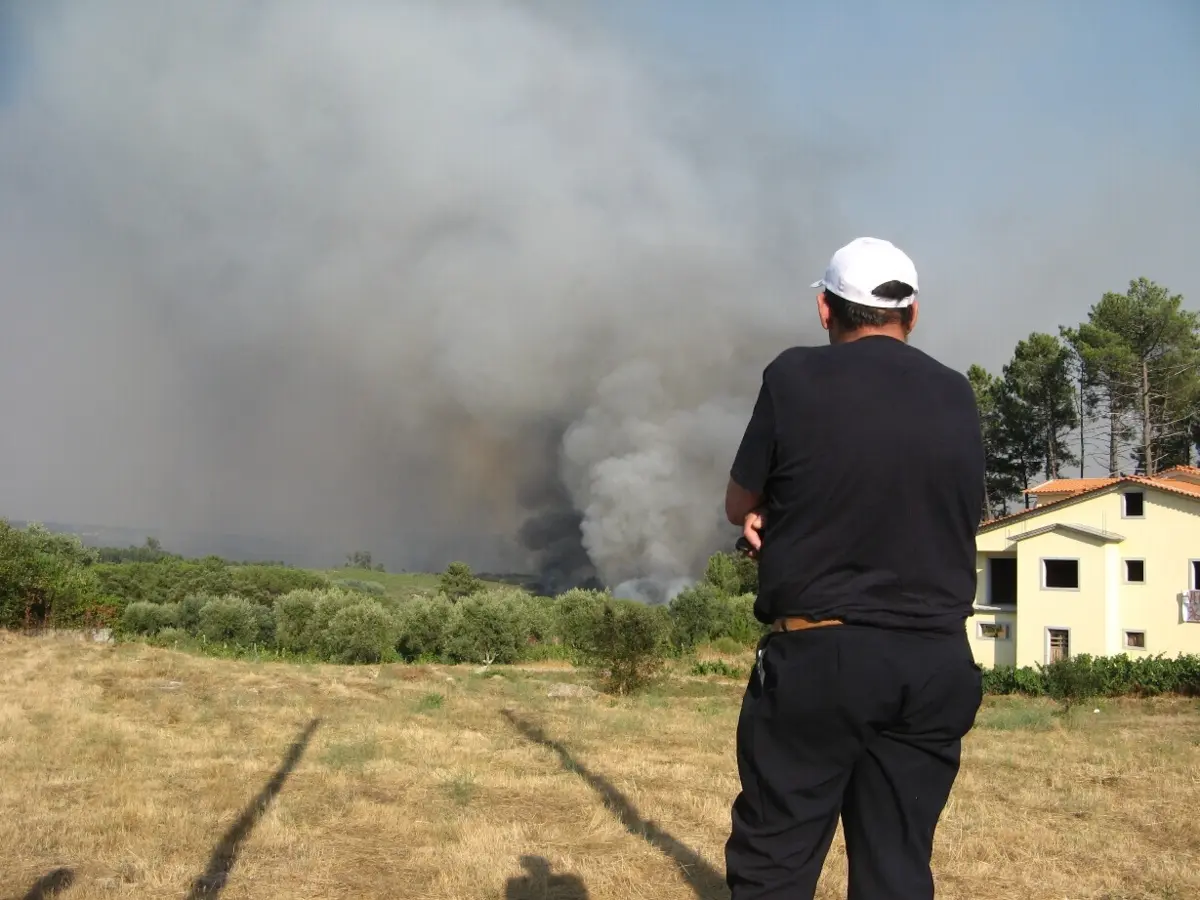 Nelas com prejuízo superior a 1,5 milhões de euros com incêndios