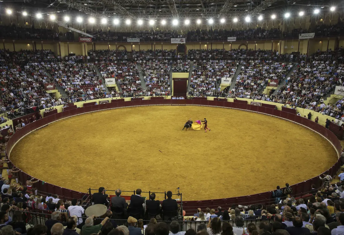 Imagem de contexto do artigo AD propõe redução do IVA das touradas de 23% para 6%