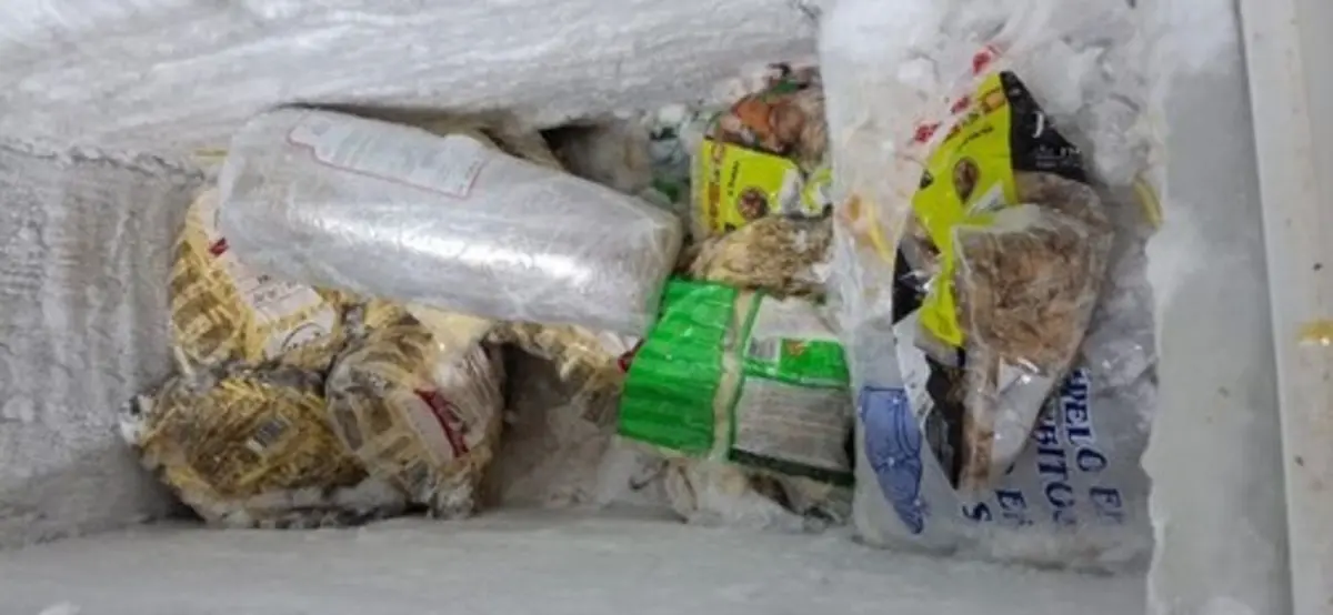 Também foram apreendidos produtos por "não reunirem as condições exigidas para consumo ou comercialização"