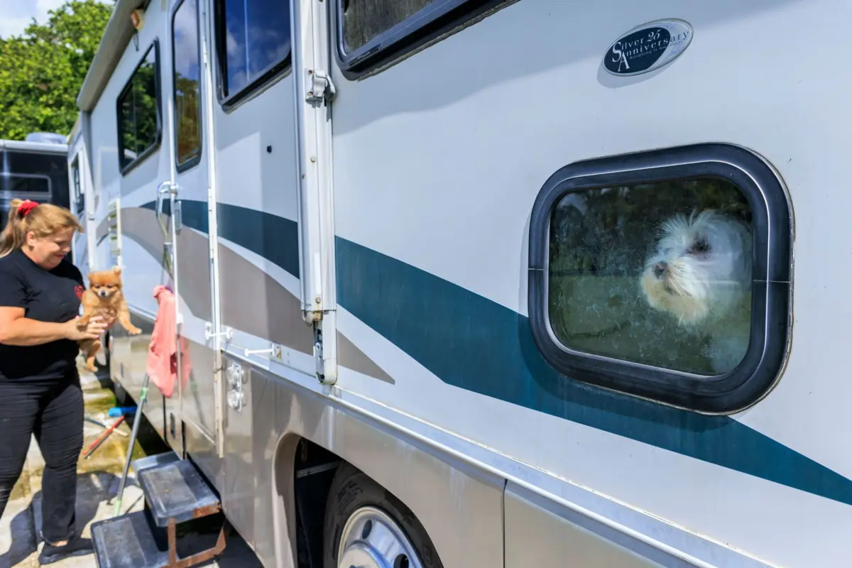 Madeira tropical de muitas autocaravanas nos EUA vem da ilha indonésia