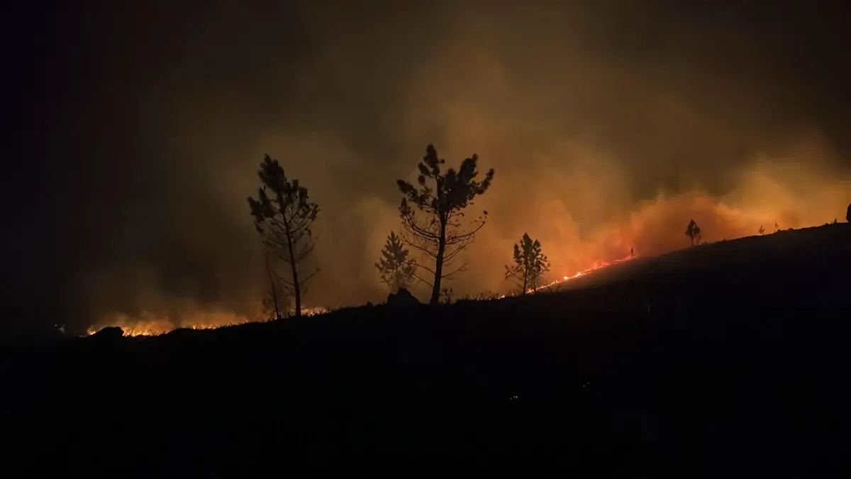 Área que está a arder é florestal e não há casas em risco