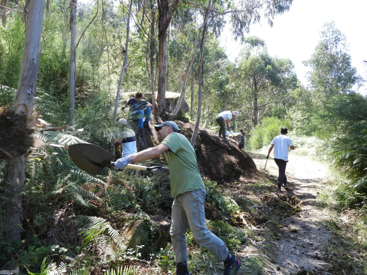 Trabalhos estão em curso na zona do Gerês