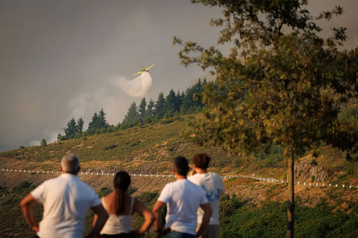 A frente ativa está na serra do Alvão, entre Galegos da Serra e Arnal