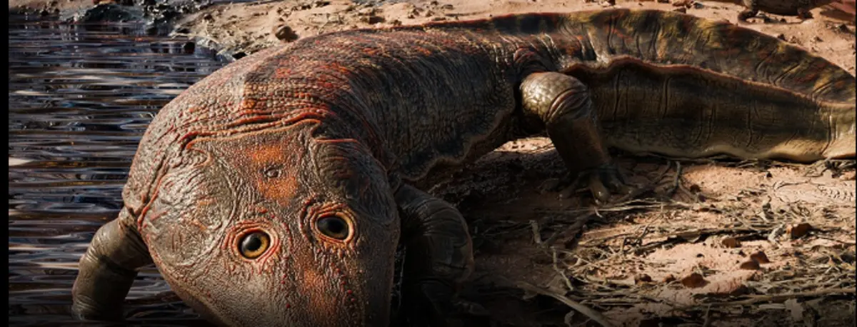 Imagem de contexto do artigo Fósseis de anfíbio gigante mais antigo que os dinossauros descobertos no Brasil