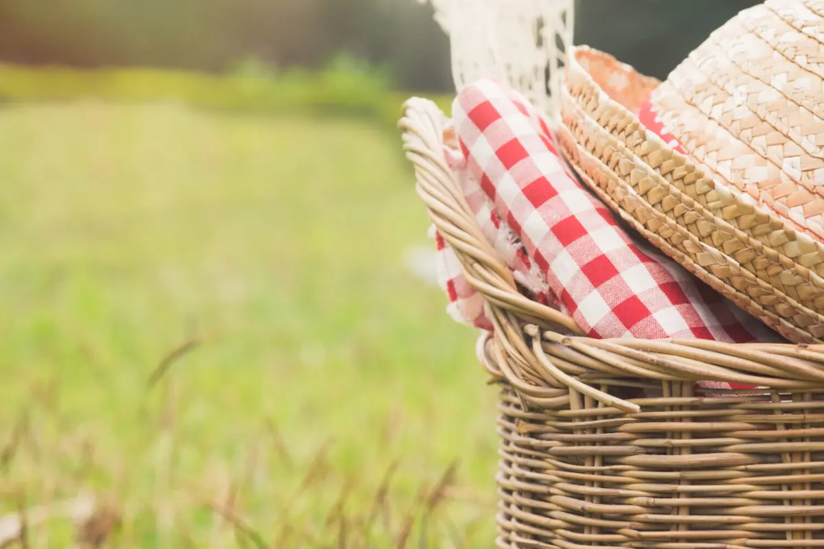 Imagem de contexto do artigo Mantas de piquenique para quem gosta mais do campo quando está calor