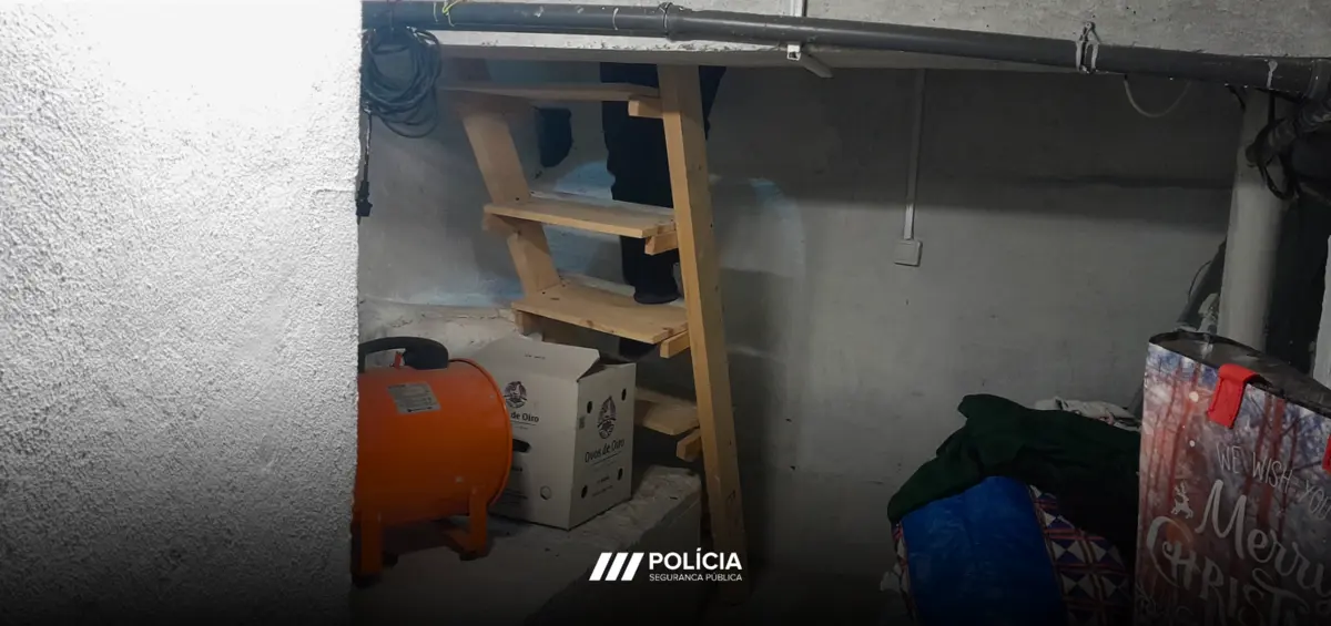 Proprietário escavou cave ilegal que era usada como dormitório