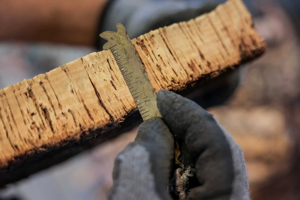 No primeiro trimestre deste ano, o lucro da Corticeira Amorim aumentou 2,1%, para 16,4 milhões de euros