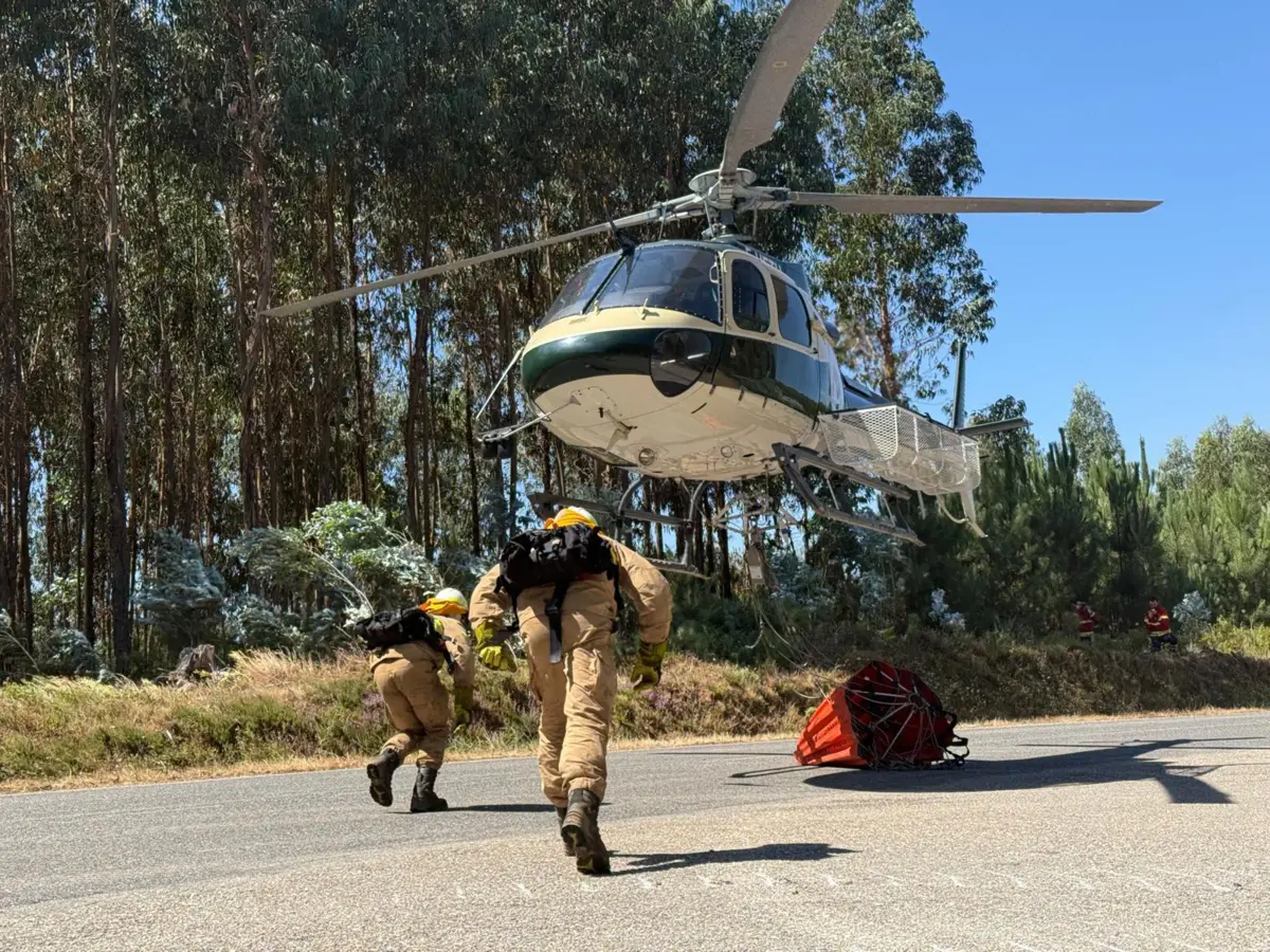 Equipa da Unidade de Emergência de Proteção e Socorro identificou uma plantação de canábis