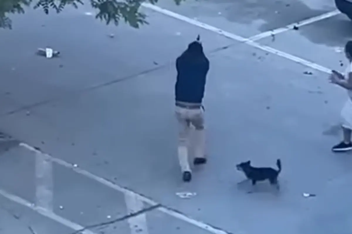 Não houve detenções