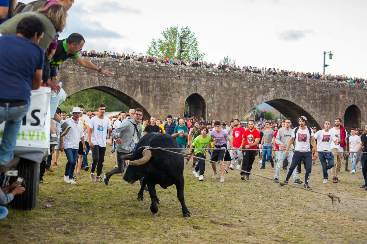 Organização defende que evento promove maus-tratos a animais