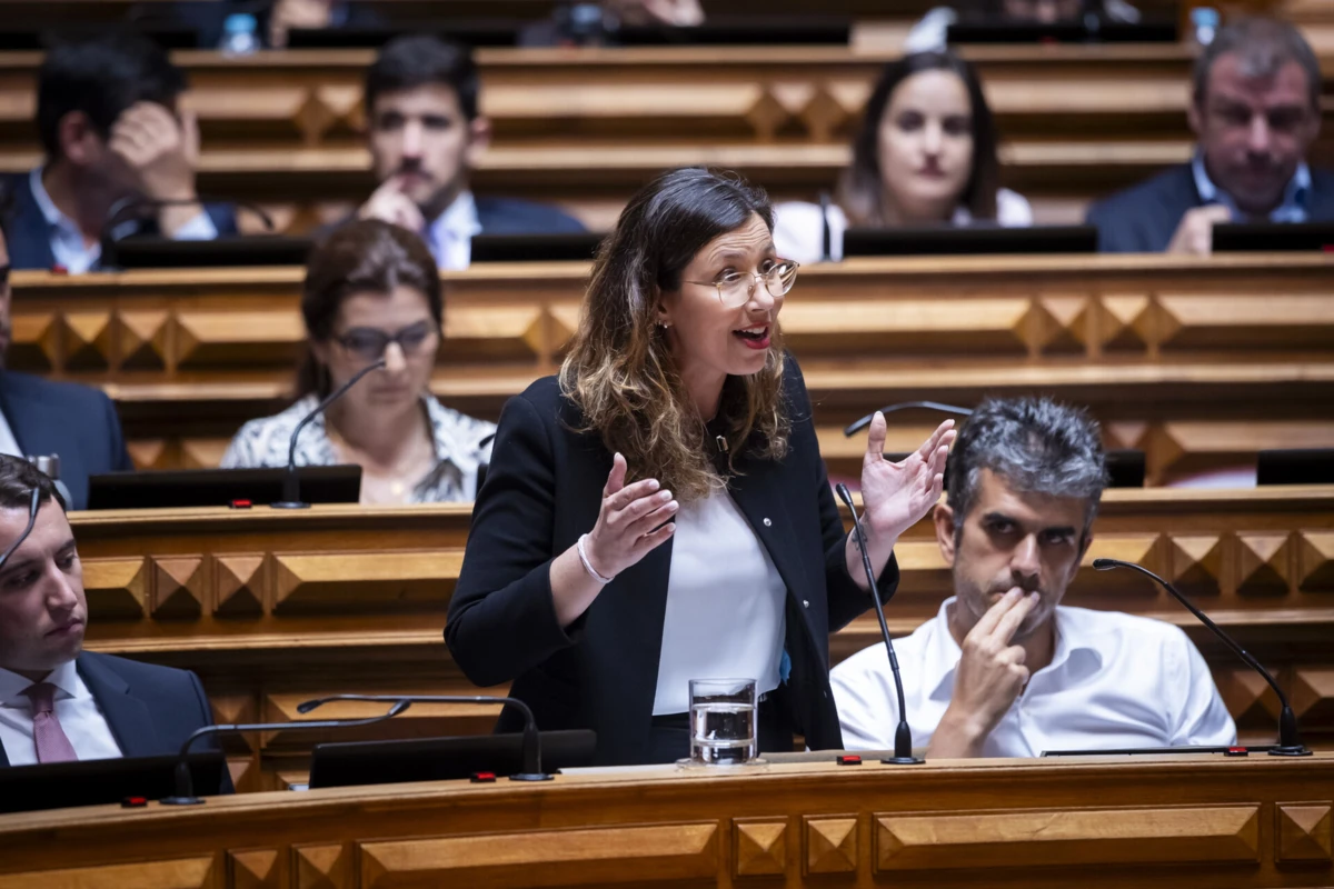 Mariana Leitão é atualmente líder parlamentar