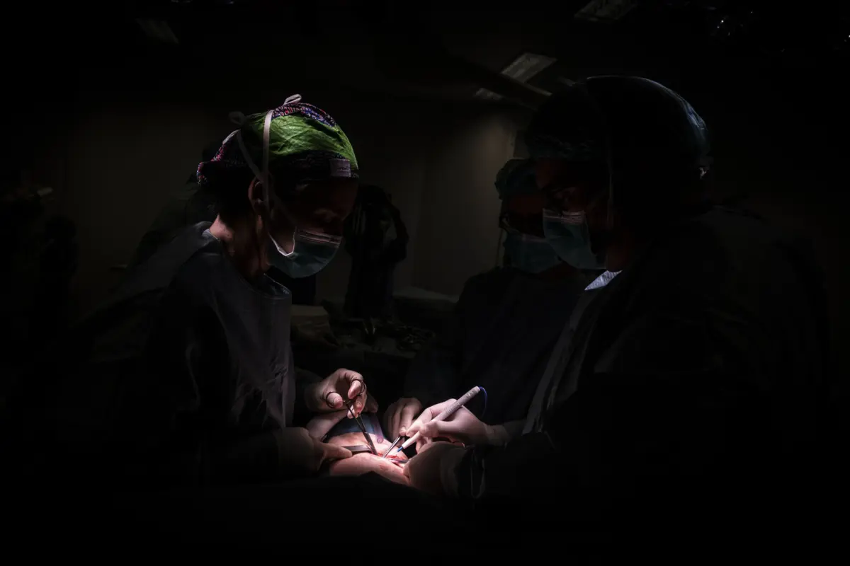 Os investigadores validaram um protocolo único que pode prolongar a sobrevivência dos transplantes cardíacos em primatas não humanos