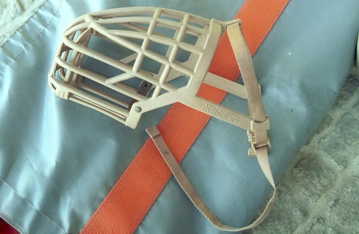 Os donos do cão foram multados porque o animal não usava açaime