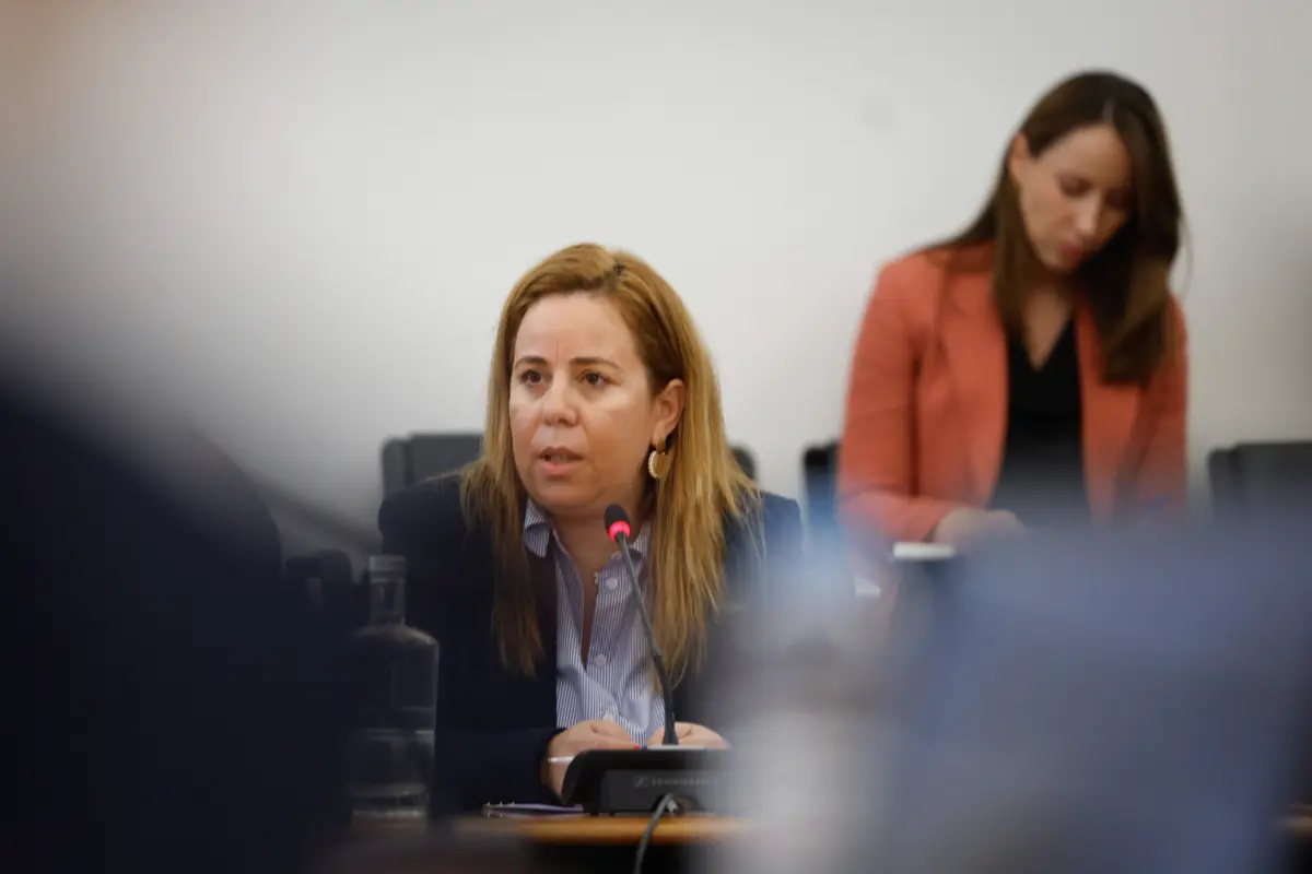 A inspetora da Inspeção-Geral das Atividades em Saúde, Marta Gonçalves