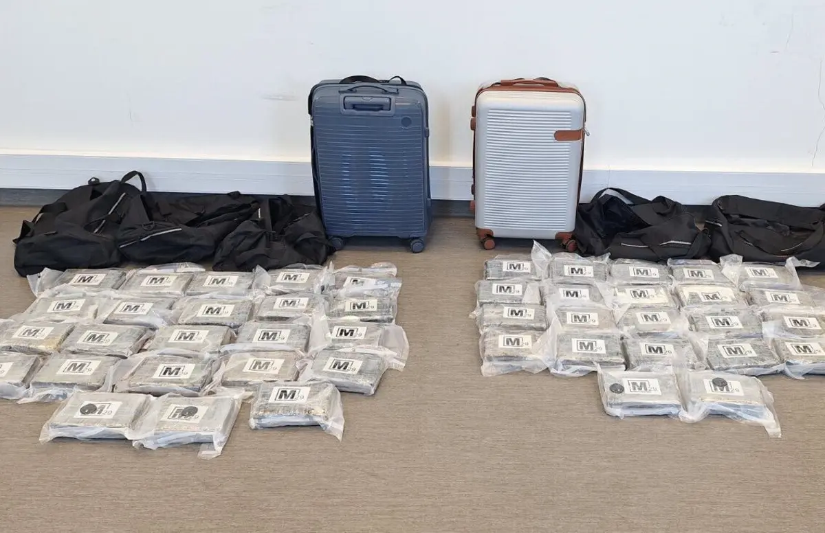 Duas malas escondiam cerca de 1,2 milhões de euros em cocaína