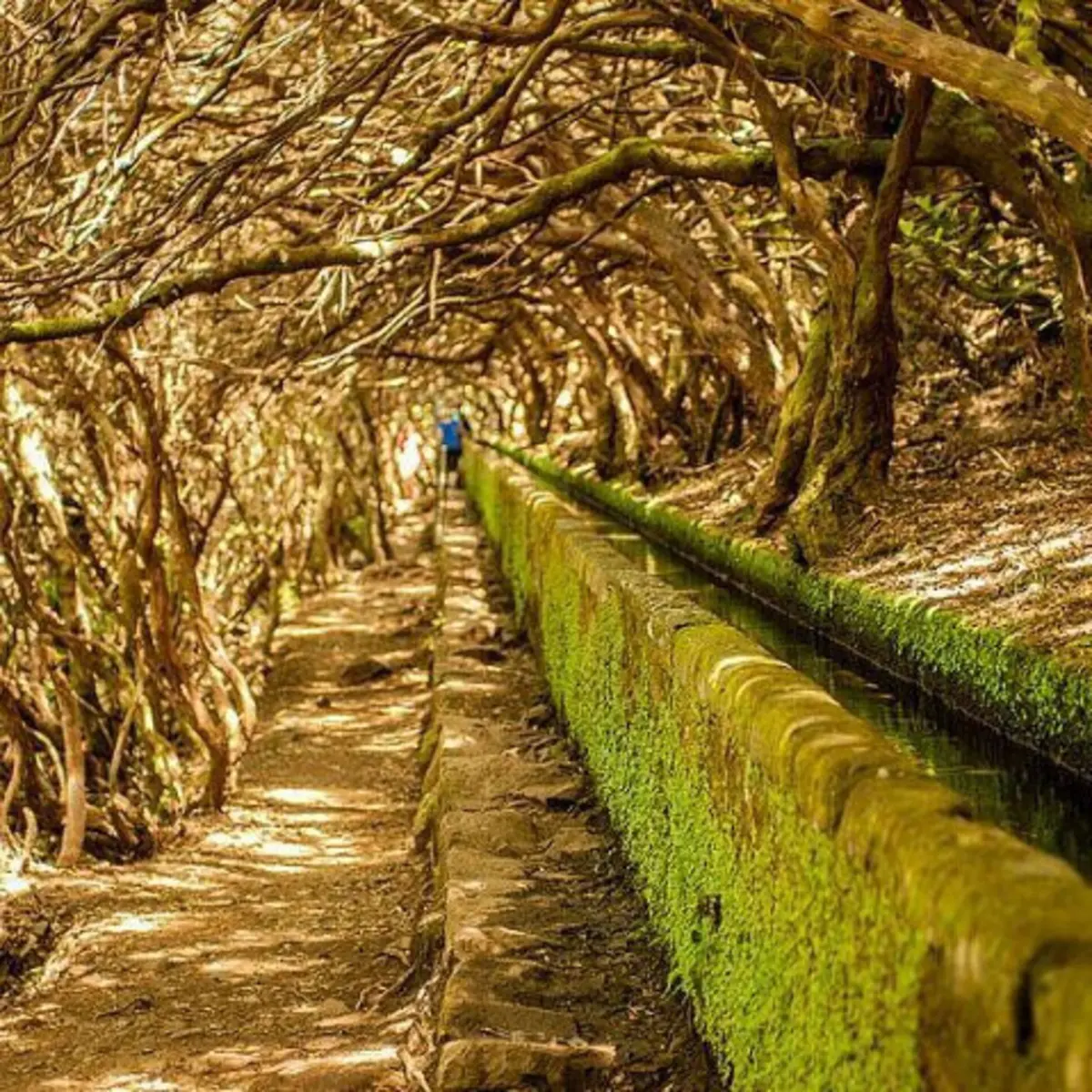 A zona da levada das 25 Fontes