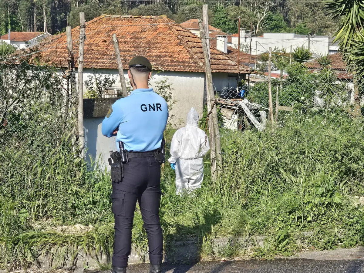 Autoridades encontraram cadáver enterrado no terreno do suspeito