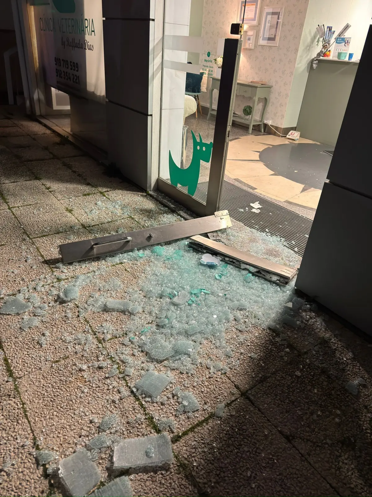 Entrada de clínica veterinária ficou destruída