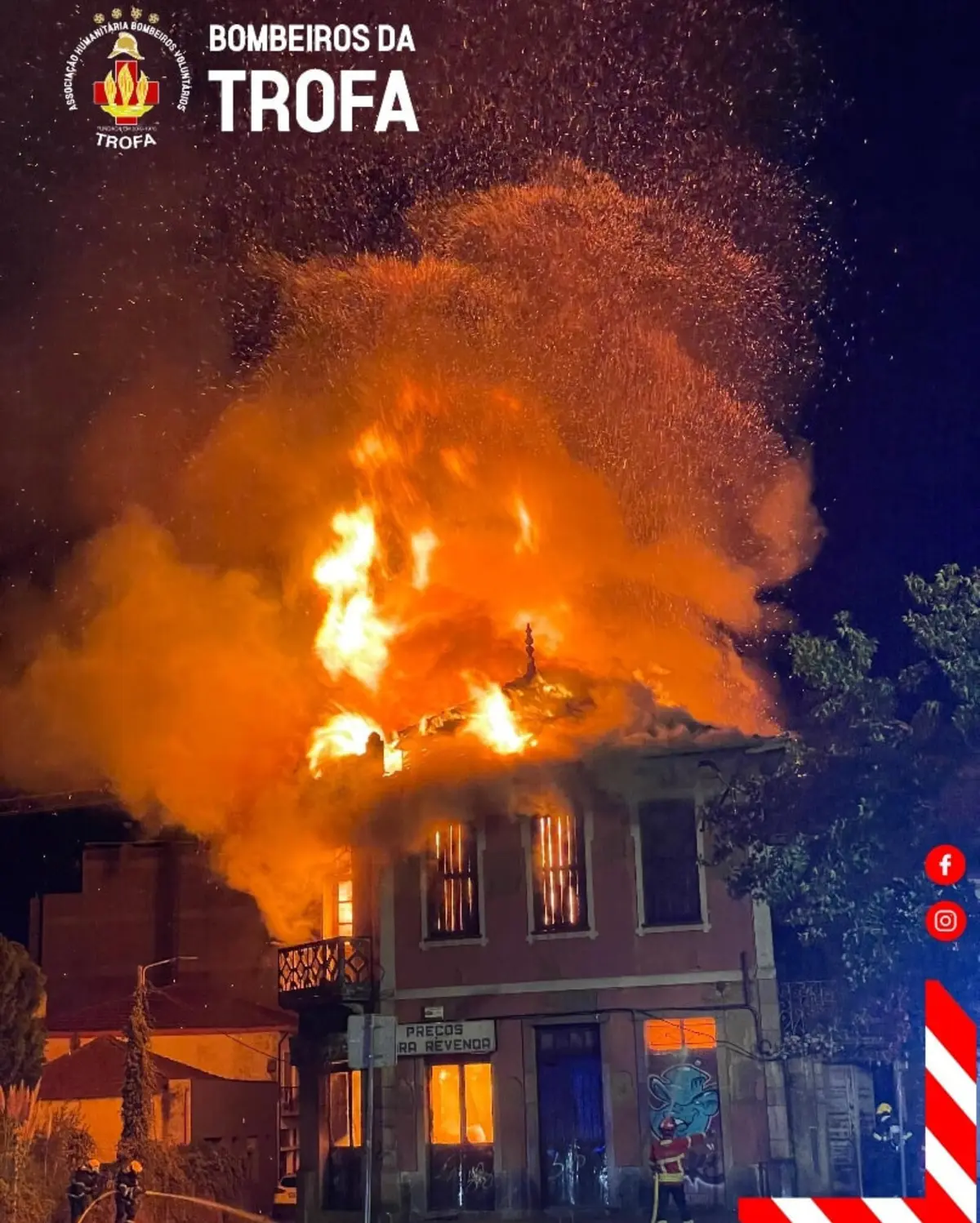 Gatos foram retirados de prédio devoluto