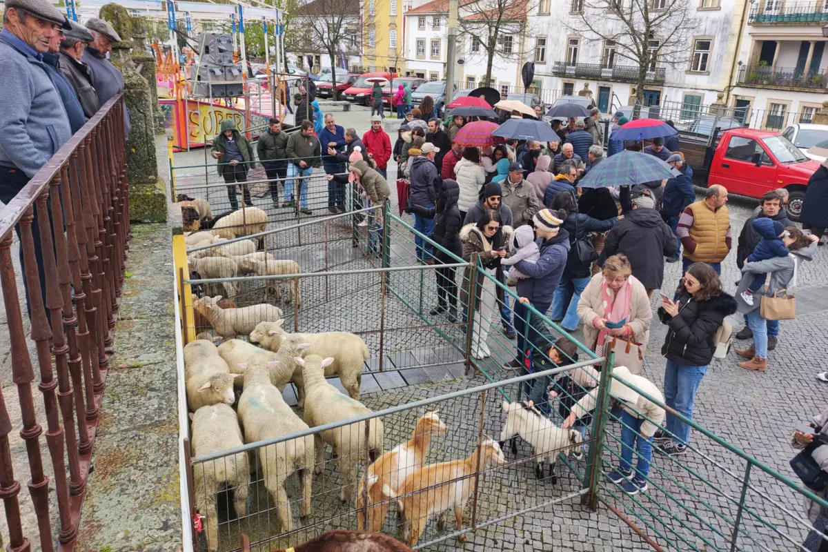 Bênção dos Cordeiros em Castelo de Vide