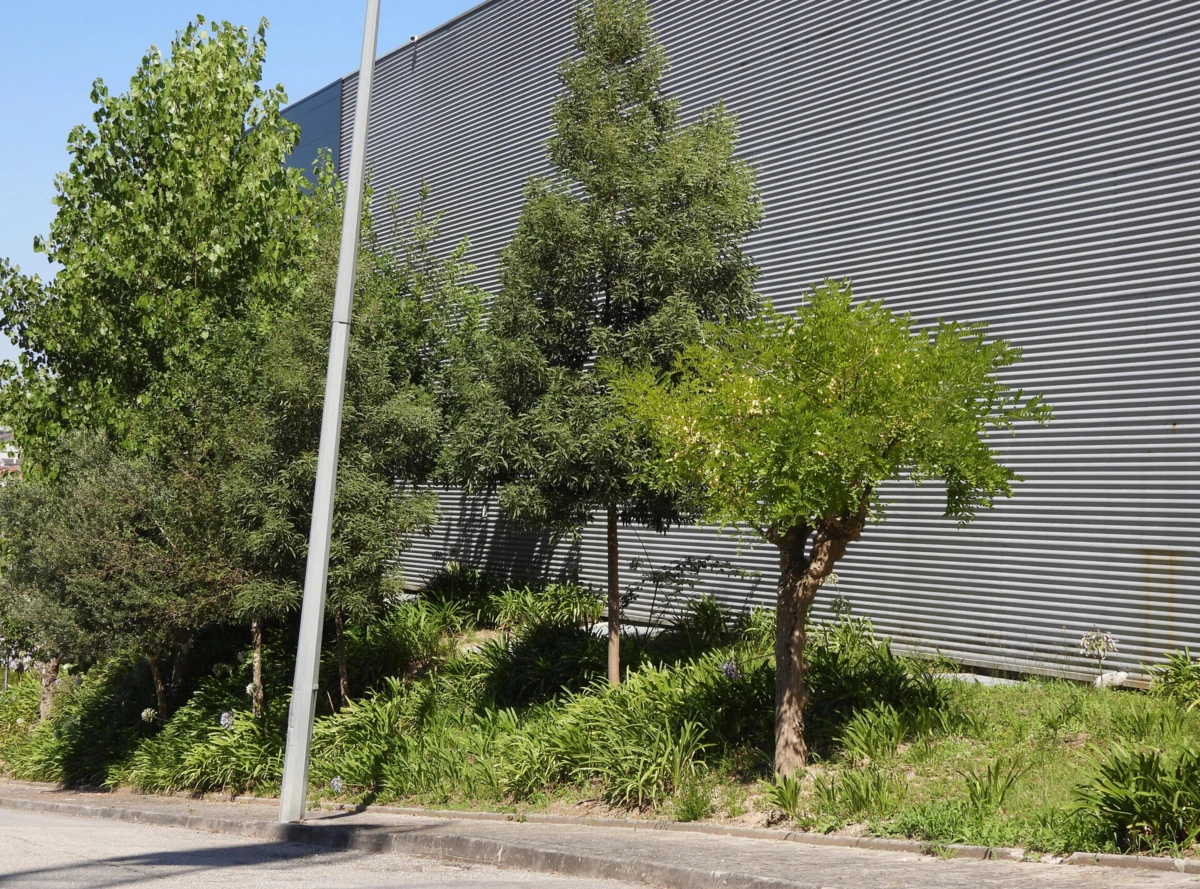 Jardim da discórdia construído pela empresa Socicorreia