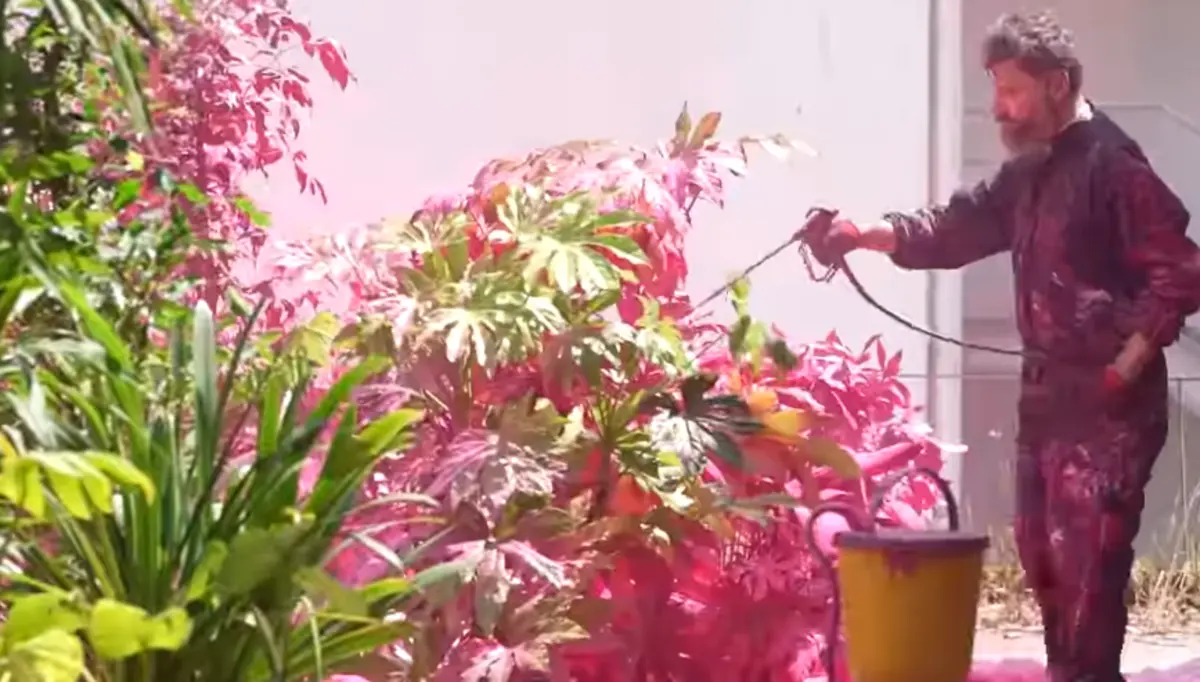 Imagem de contexto do artigo Pressão pública leva Braga Parque a cancelar exposição de plantas pintadas com tinta