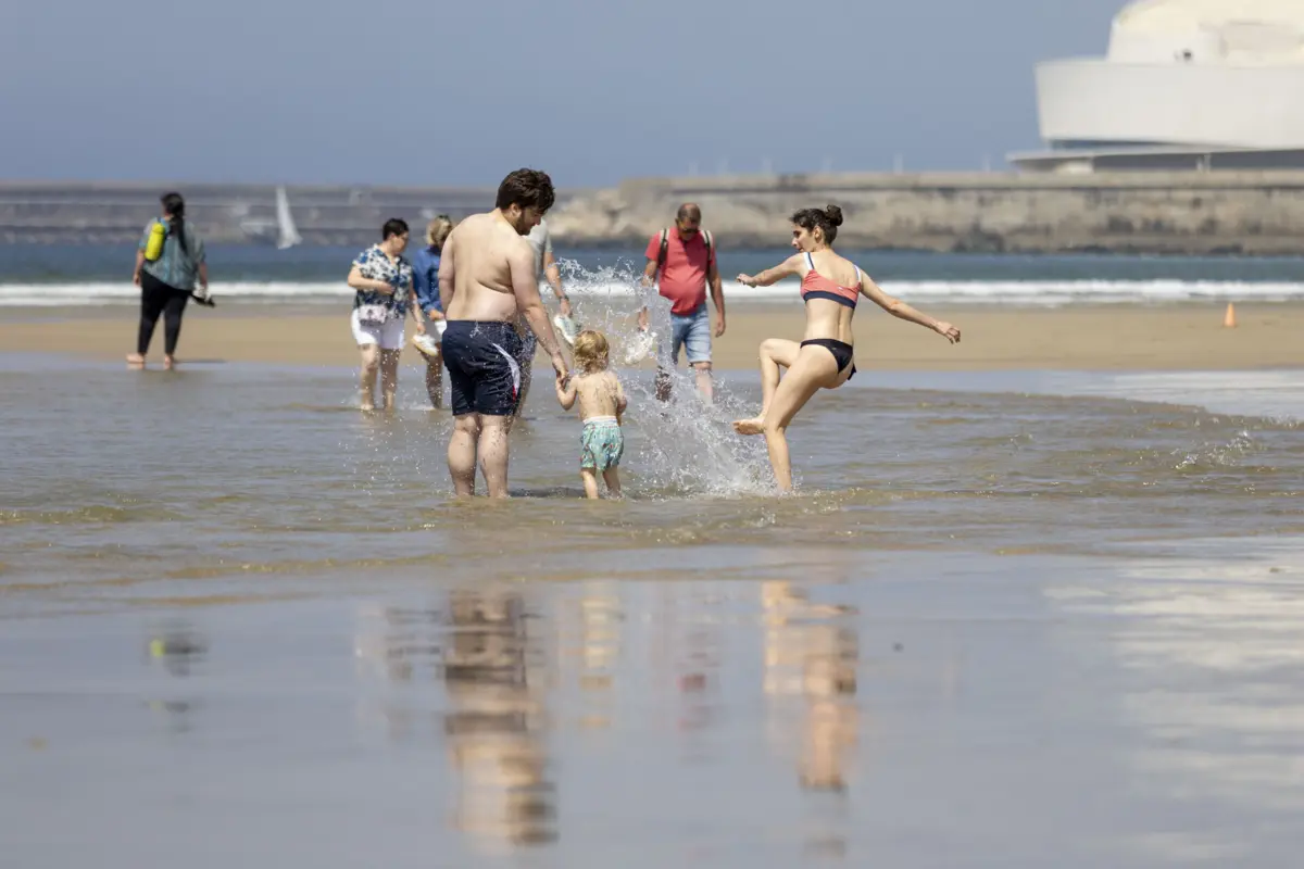 Presença massiva de gaivotas contamina areia e água, prejudicando a qualidade balnear