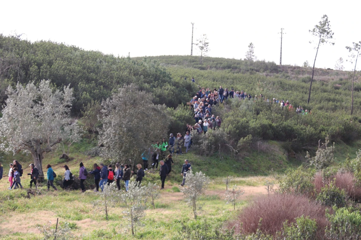 Participantes percorrem cerca de 10 quilómetros
