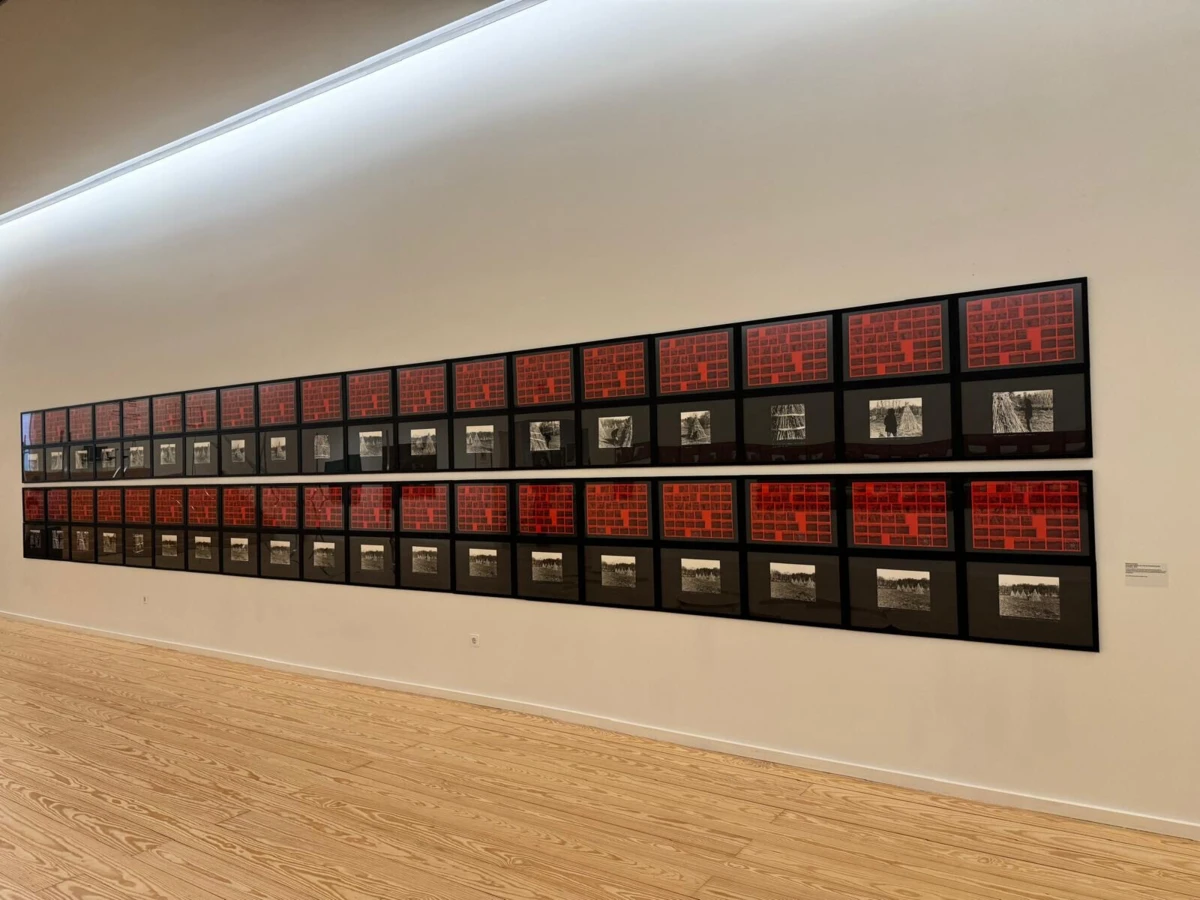 Exposição pode ser visitada até 29 de dezembro