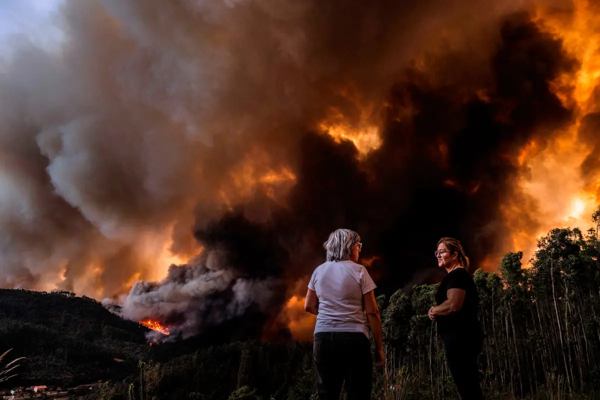 Fogos de setembro desequilibraram contas europeias da área ardida em 2024