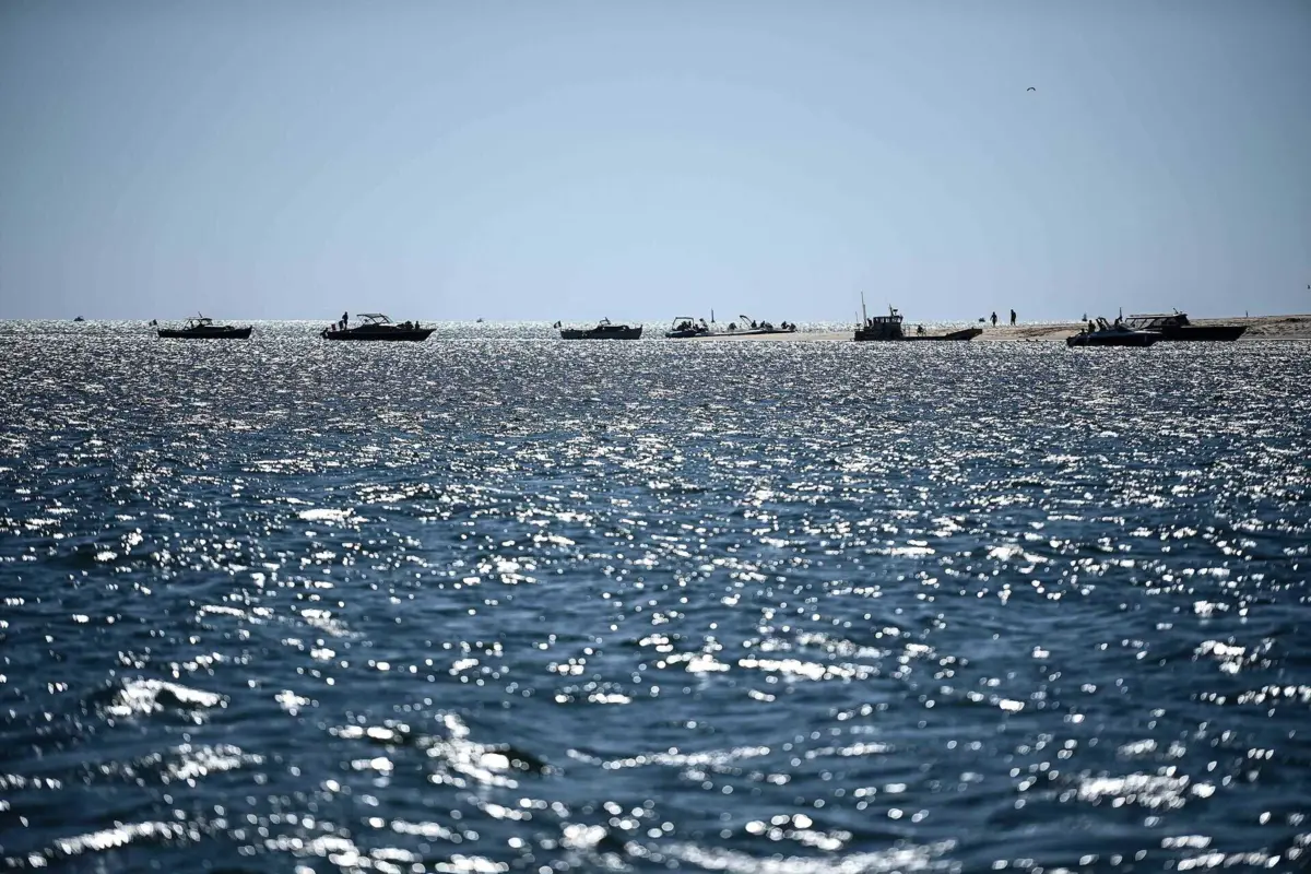 Imagem de contexto do artigo Calor no Atlântico Norte pode pôr em perigo populações de peixes importantes para a pesca