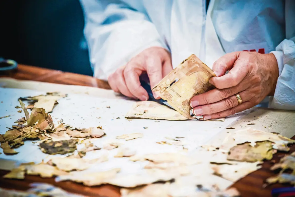 Mais de 50 mil euros foram recuperados no seguimento da tempestade Kristin