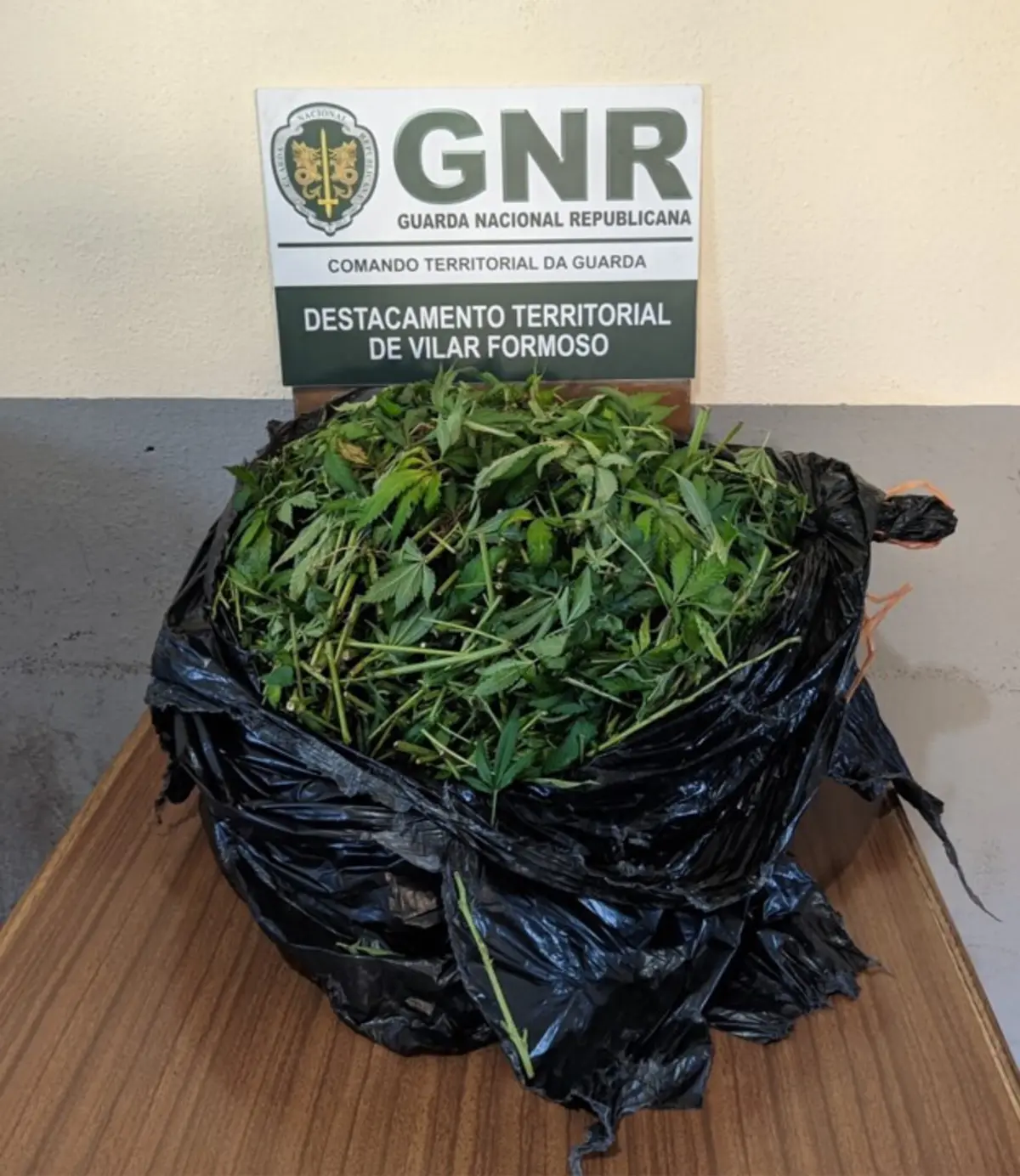 Suspeito estava na posse de 5504 doses de canábis