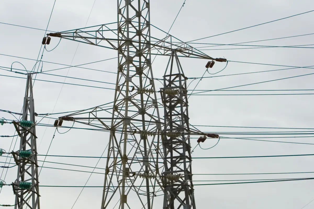 Vento extremo em Alcácer do Sal derrubou árvores e há 250 casas sem eletricidade