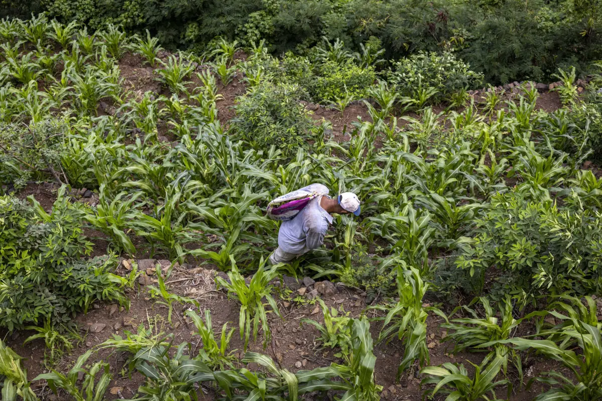 Vítimas foram levadas para quintas em Espanha