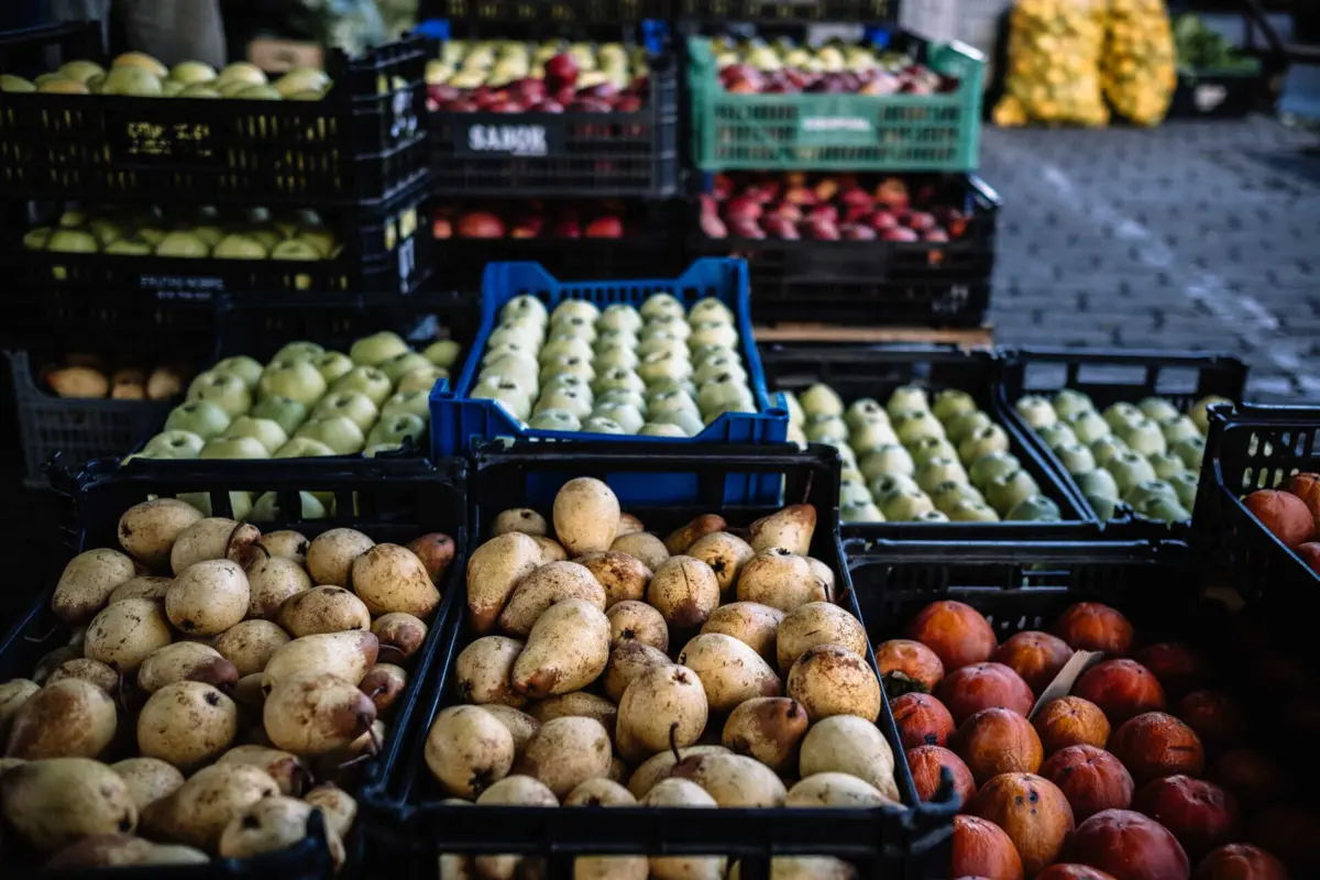 Imagem de contexto do artigo Eurodeputados rejeitam proposta sobre redução do uso de pesticidas