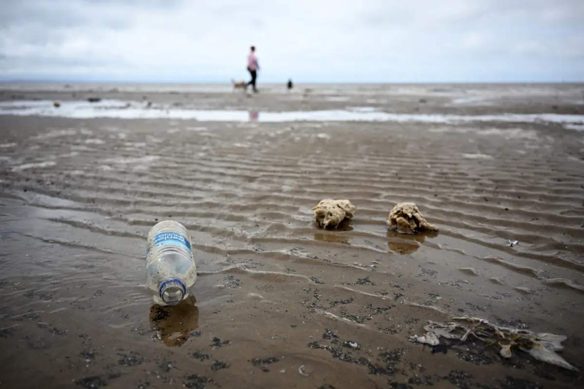 Imagem de contexto do artigo Nanoplásticos afetam células da pele de seres humanos e de peixes
