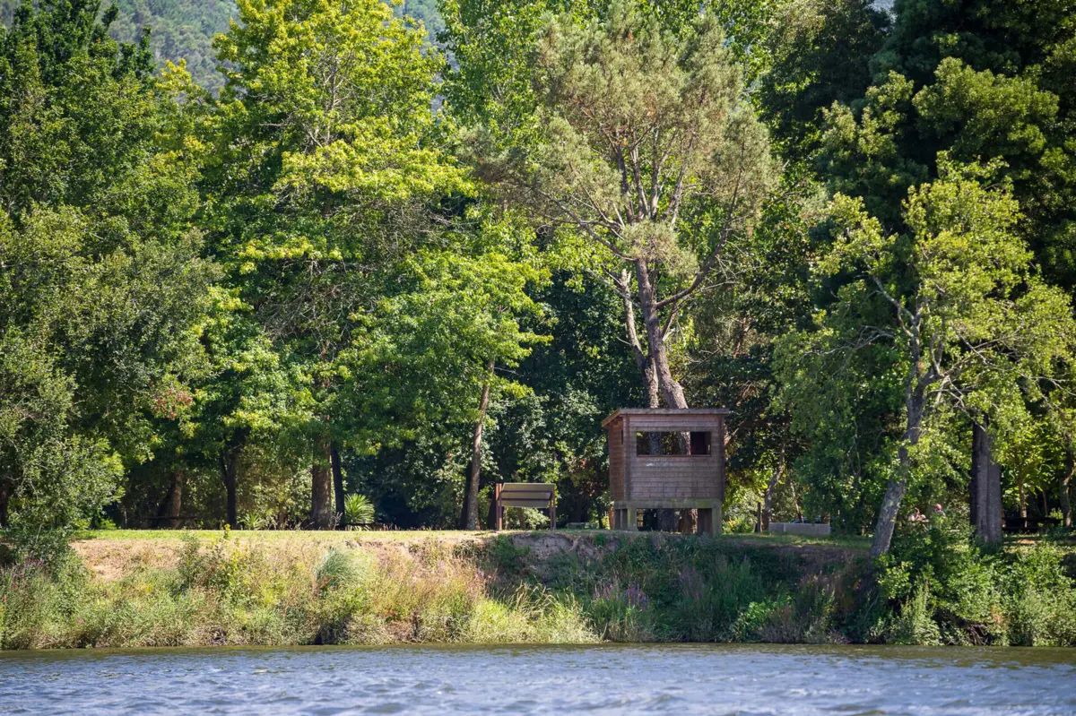 Autoridades acreditam que corpo é de homem desaparecido