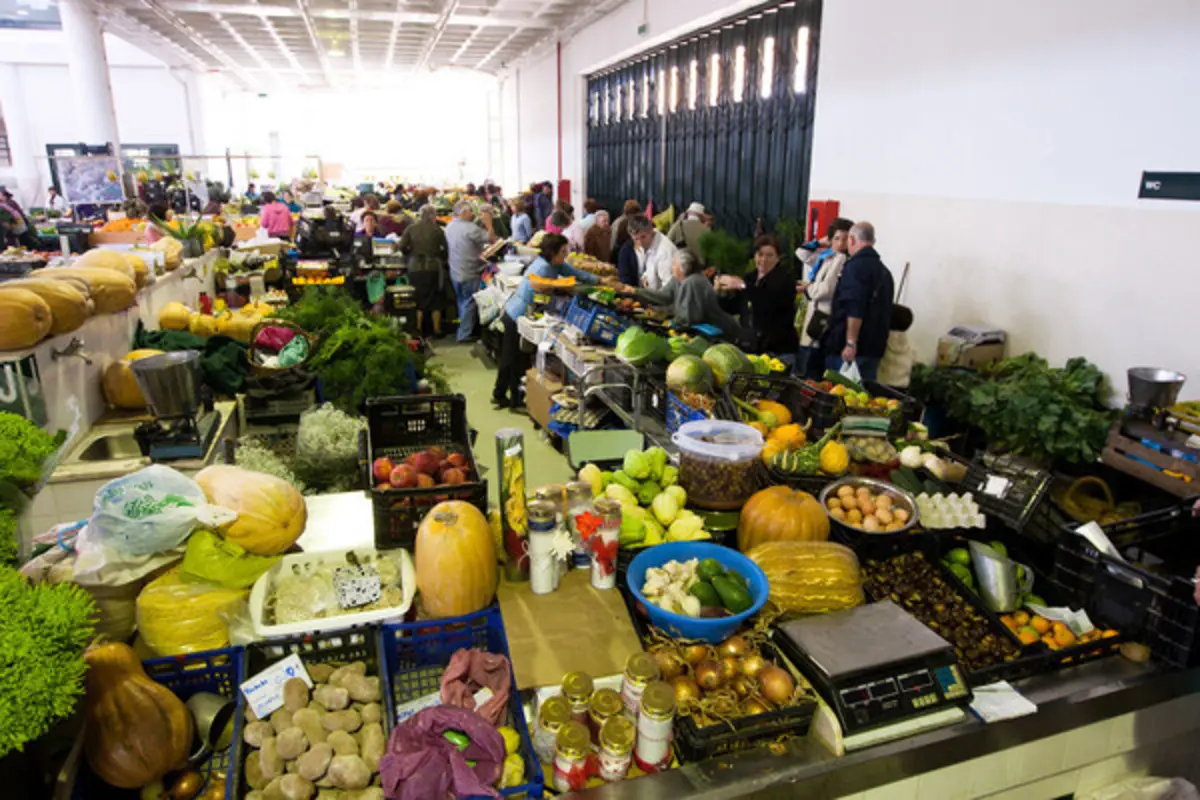 Inspeção conclui que não há risco para os utentes do mercado.